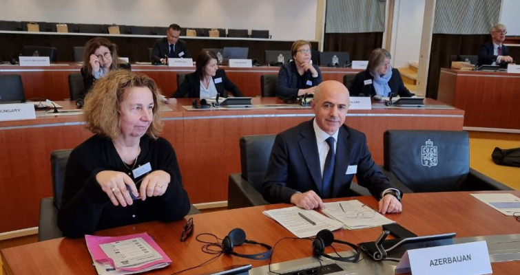 Məhkəmə-Hüquq Şurasının üzvü, Bakı Apellyasiya Məhkəməsinin sədri CEPEJ-in pilot məhkəmələr şəbəkəsinin 19-cu plenar iclasında iştirak etmişdir