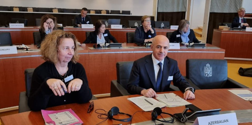 Məhkəmə-Hüquq Şurasının üzvü, Bakı Apellyasiya Məhkəməsinin sədri CEPEJ-in pilot məhkəmələr şəbəkəsinin 19-cu plenar iclasında iştirak etmişdir